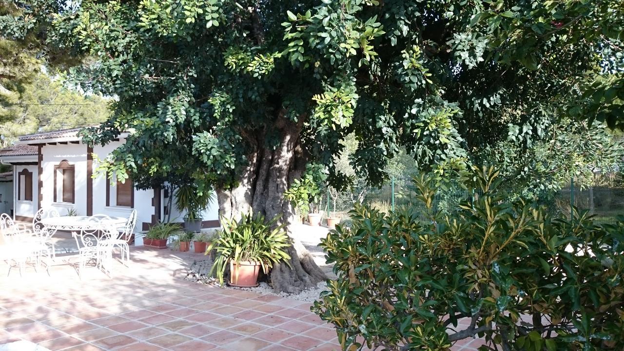 Villa Chabola Denia Exterior photo