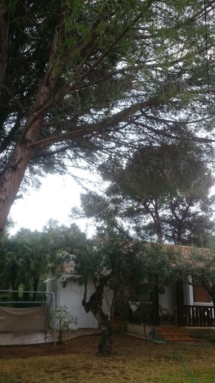 Villa Chabola Denia Exterior photo